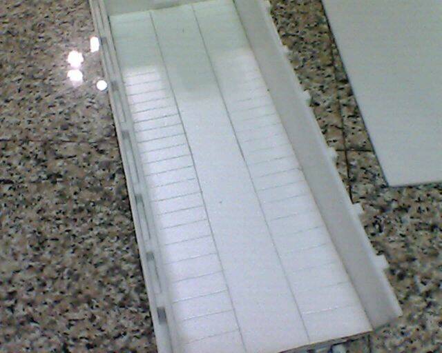 IMG2545A.jpg