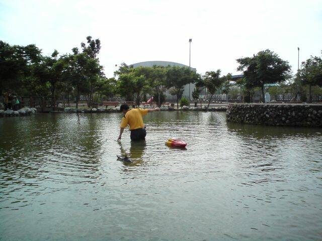 DSC00346.JPG