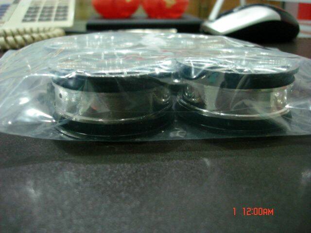 DSC08371.JPG