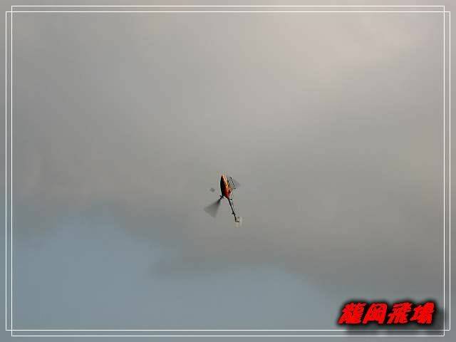 DSC_7655.jpg