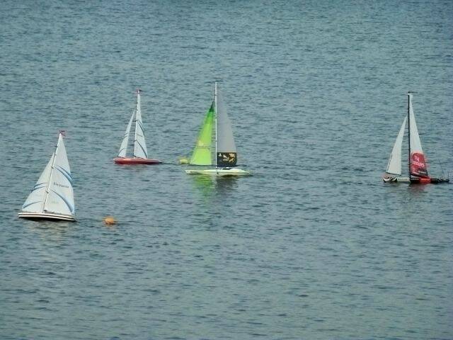 DSC03479.jpg