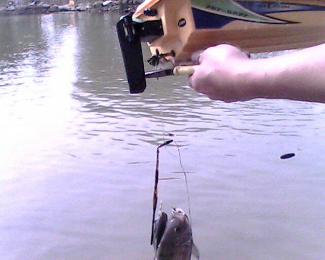 IMG2588A.jpg