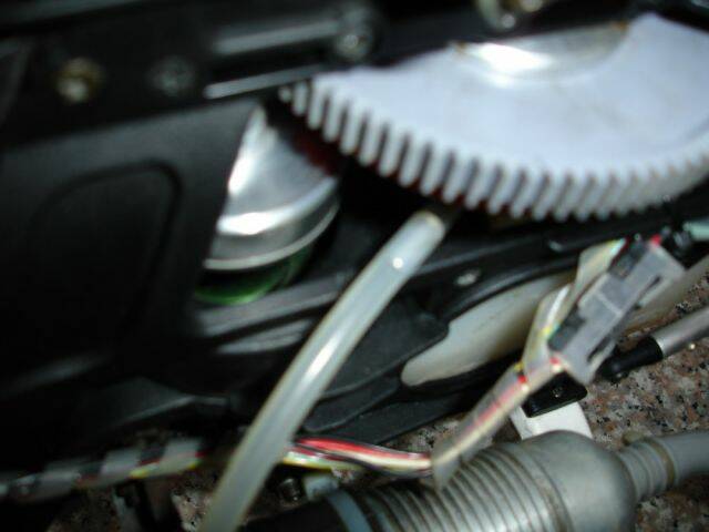 DSC06547.jpg