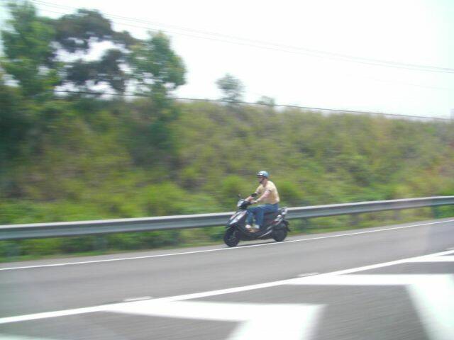 SANY0726.jpg