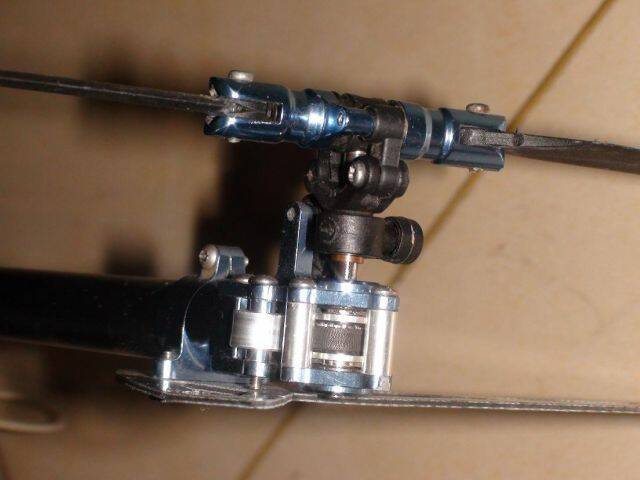 DSC01954.JPG