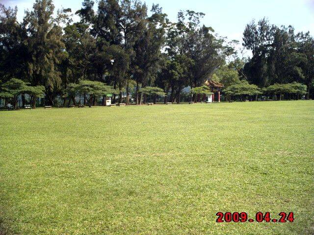 030.JPG