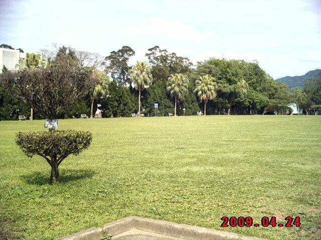 025.JPG