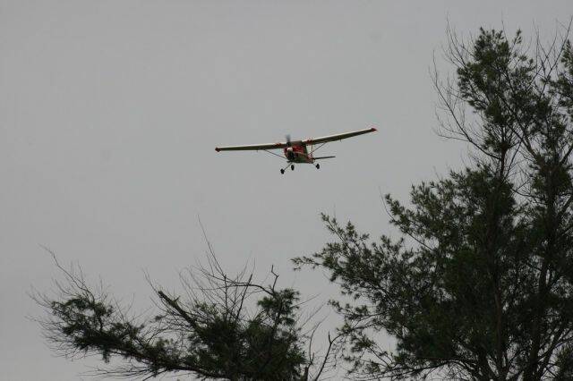 調整大小IMG_7063.JPG