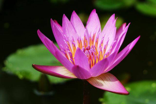 DSC01798修改.jpg