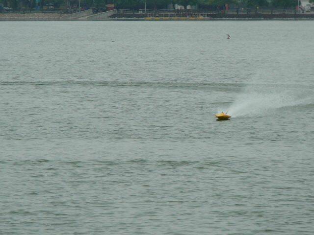 P1090798.jpg