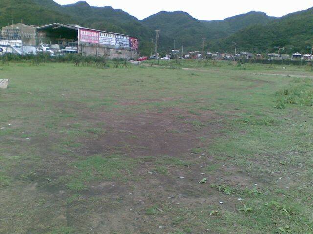 20090426(003).jpg