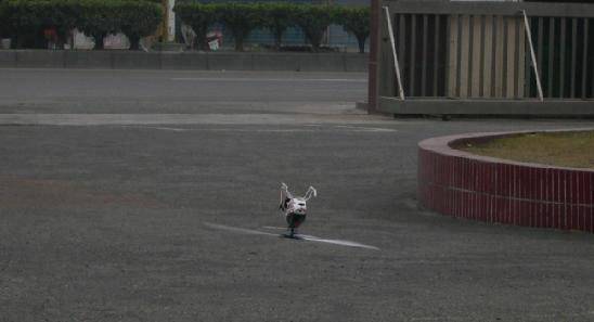 20080222_72574619c1915b3b9f8f2HW0spBYlTmC.jpg