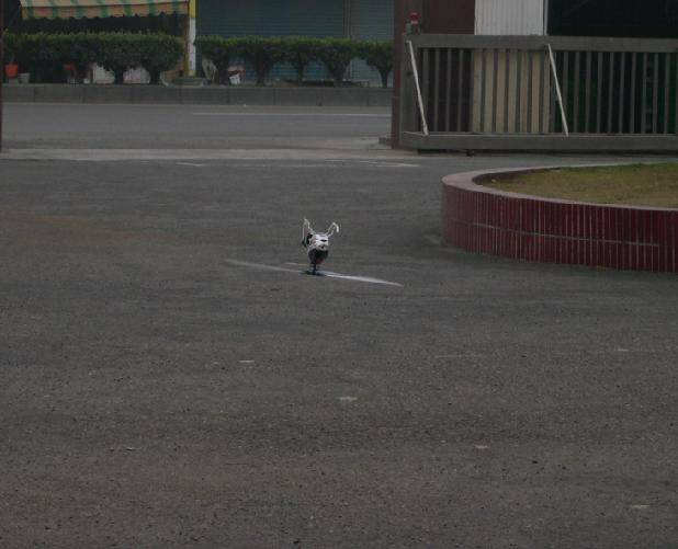 20080222_62d1cfeda55a636435746gKqC4z3BYda.jpg