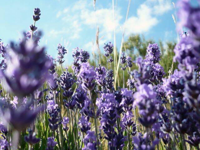 8f1dED6T_1024x768.jpg