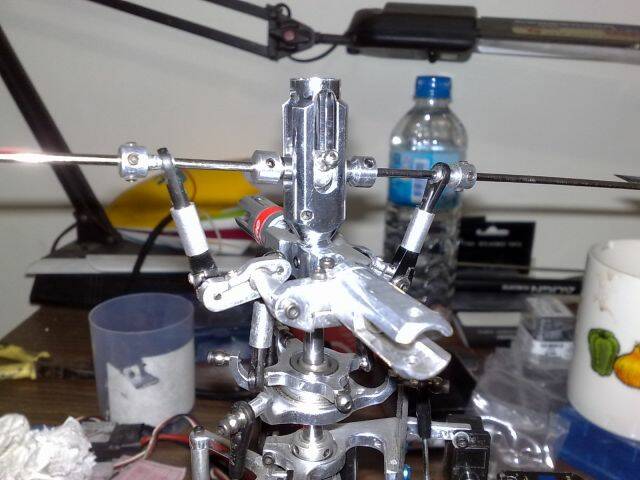 20090501301.jpg