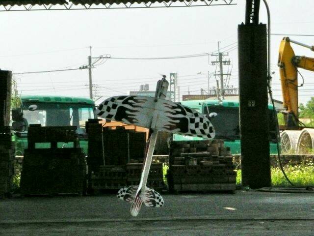 P1050053.jpg