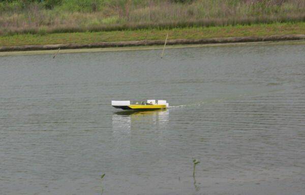13海綿寶寶.jpg