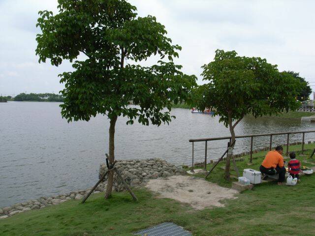 R0016206.JPG
