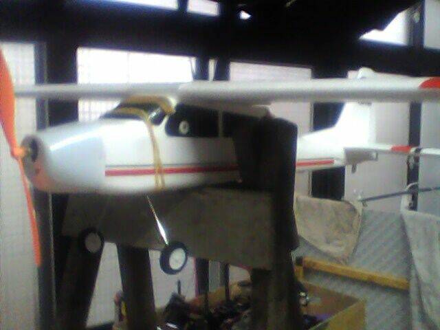 IMG0081A.jpg