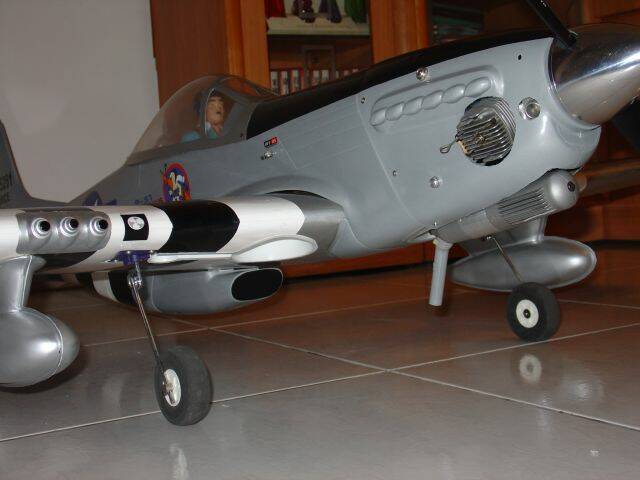 DSC01253.JPG