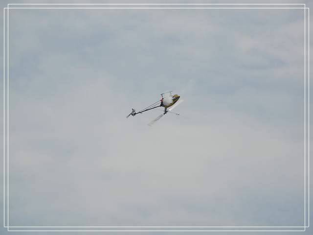 DSC_8470.jpg