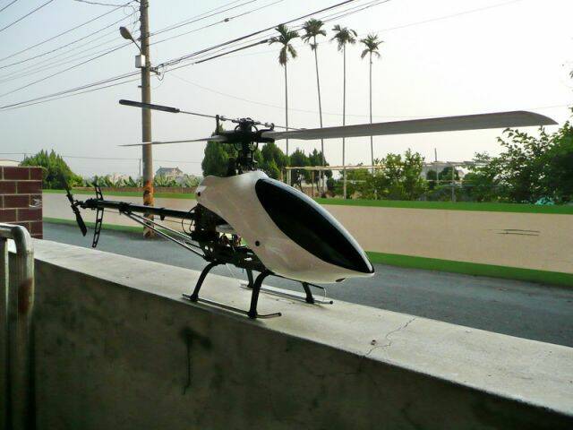 P1050137.jpg