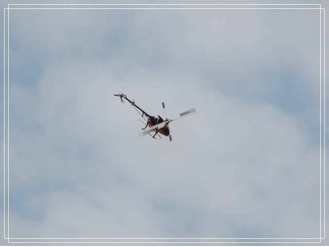 DSC_8522.jpg