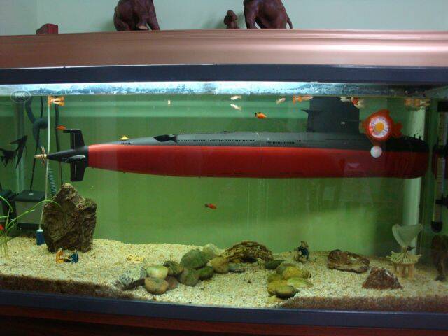 DSC02056.JPG