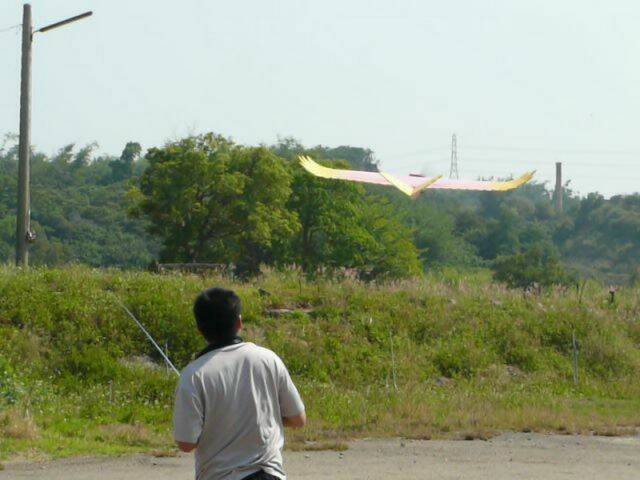 P1050157.jpg