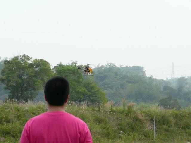 P1050242.jpg