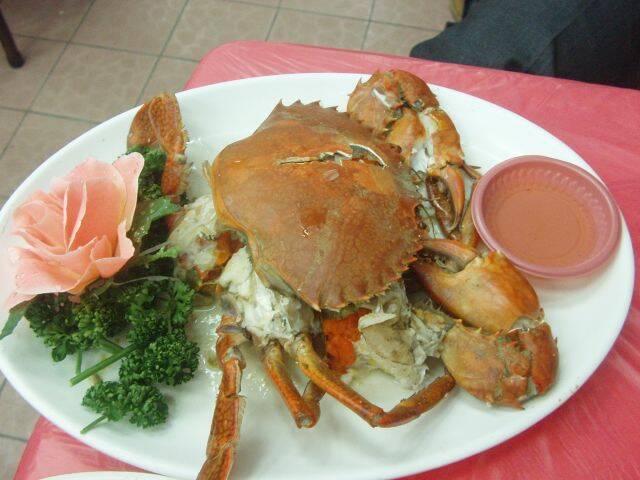 P1010095.JPG