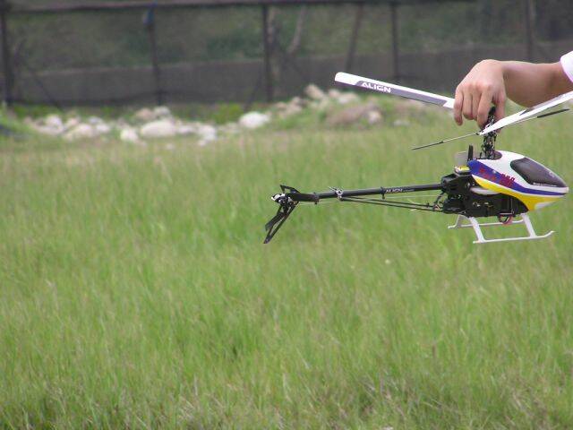 P5100058.JPG