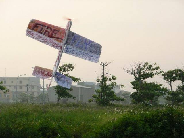 P1050278.jpg