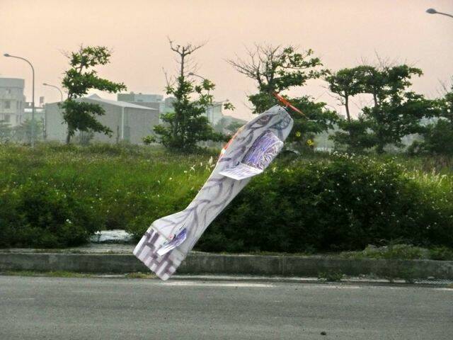 P1050279.jpg