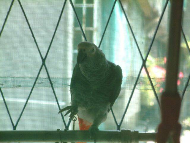 2002_0526_121224AA.JPG