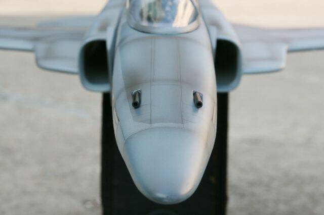F-5系列獨特的正字標記，黑鼻孔雙砲口