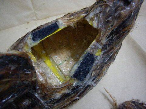 單馬達空鴨殼