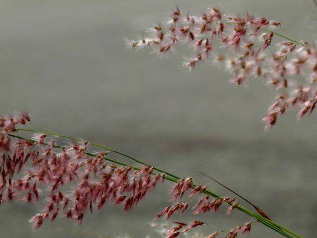 P1000453.jpg