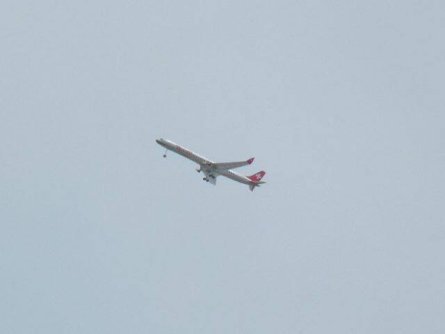 P1000367.jpg