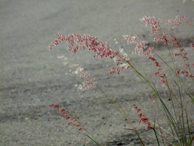 P1000463.jpg