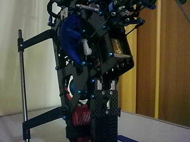 20090523016.jpg