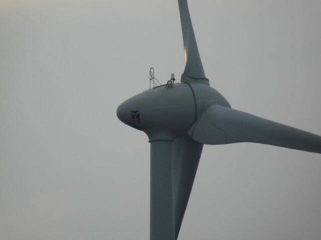 P1000539.jpg