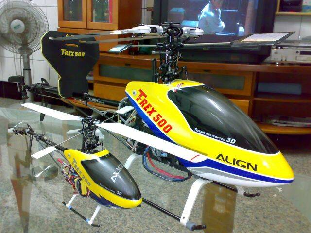 20090523038.jpg