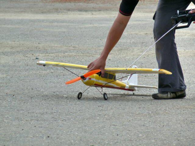 P1000567.jpg