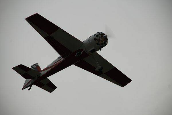 m_DSC_0218.jpg