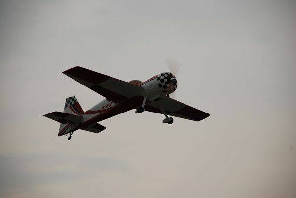 m_DSC_0231.jpg
