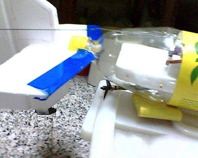 IMG2840A.jpg