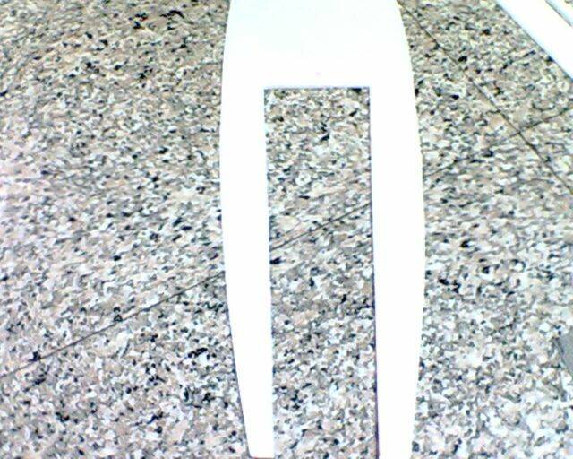 IMG2853A.jpg