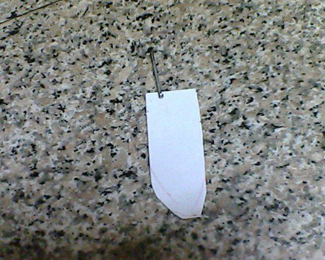 IMG2871A.jpg