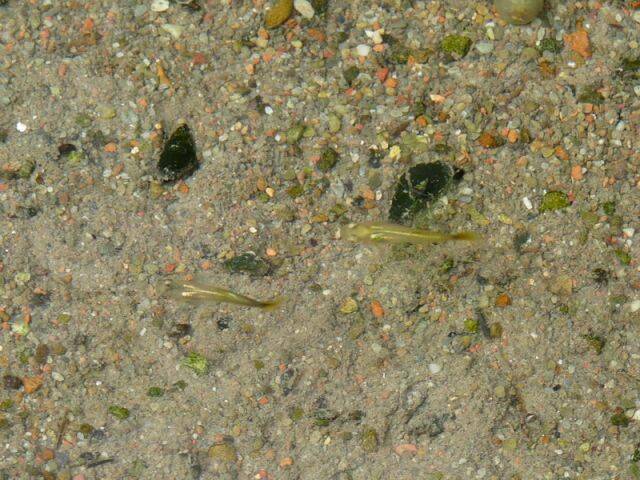 P1000787.jpg